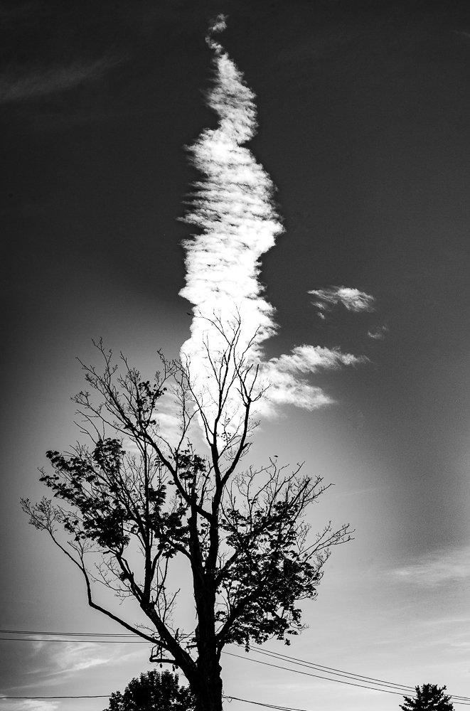 CLOUD & TREE, NEW MARLBOROUGH MA.jpg