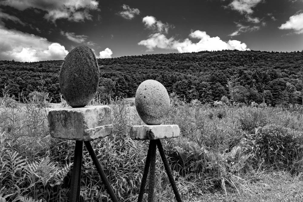 Backyard Sculptures,
West Stockbridge MA