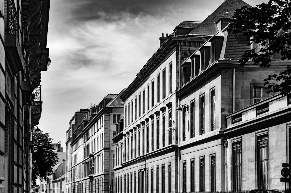 AVENUE, PARIS.jpg