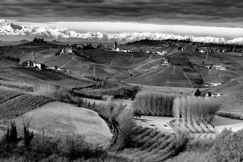 WALKING TO BARBARESCO 2.jpg