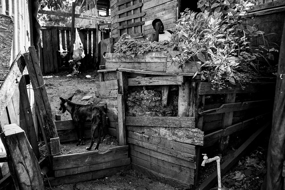 man, dog, barrio nelson mandela.jpg