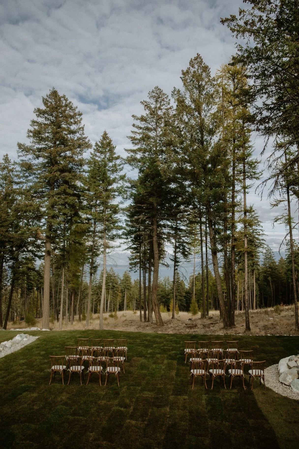 ceremony-forest-Dd7FkgJU.jpg