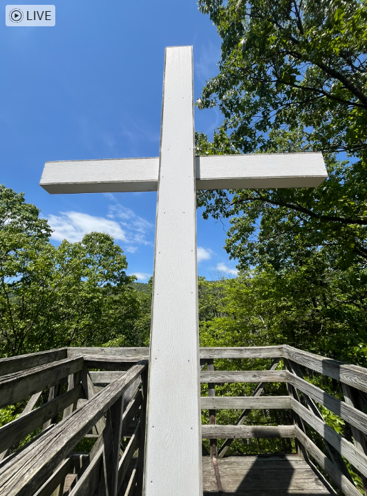 White wooden cross on a wooden platform outdoors with trees and blue sky in the background.