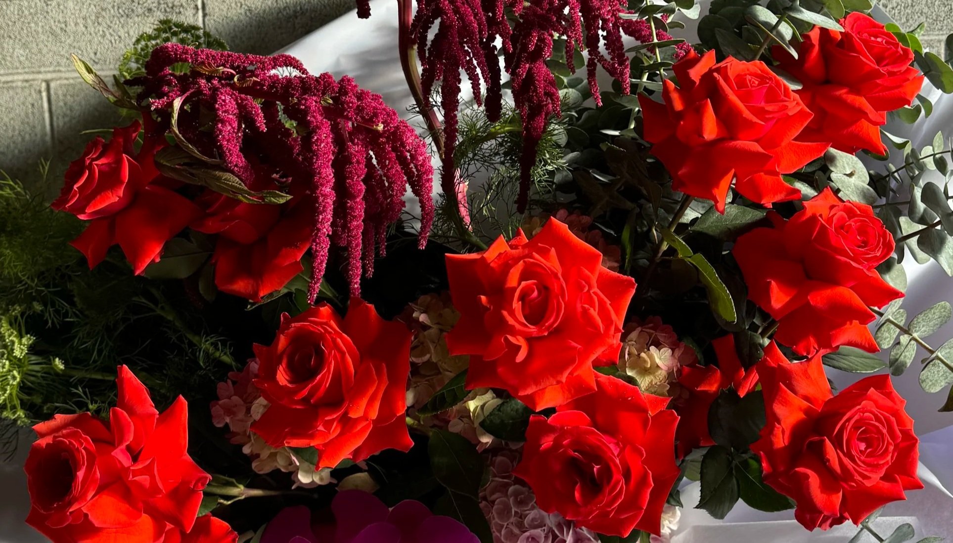 En Masse by Colour - Dark Reds & Maroons