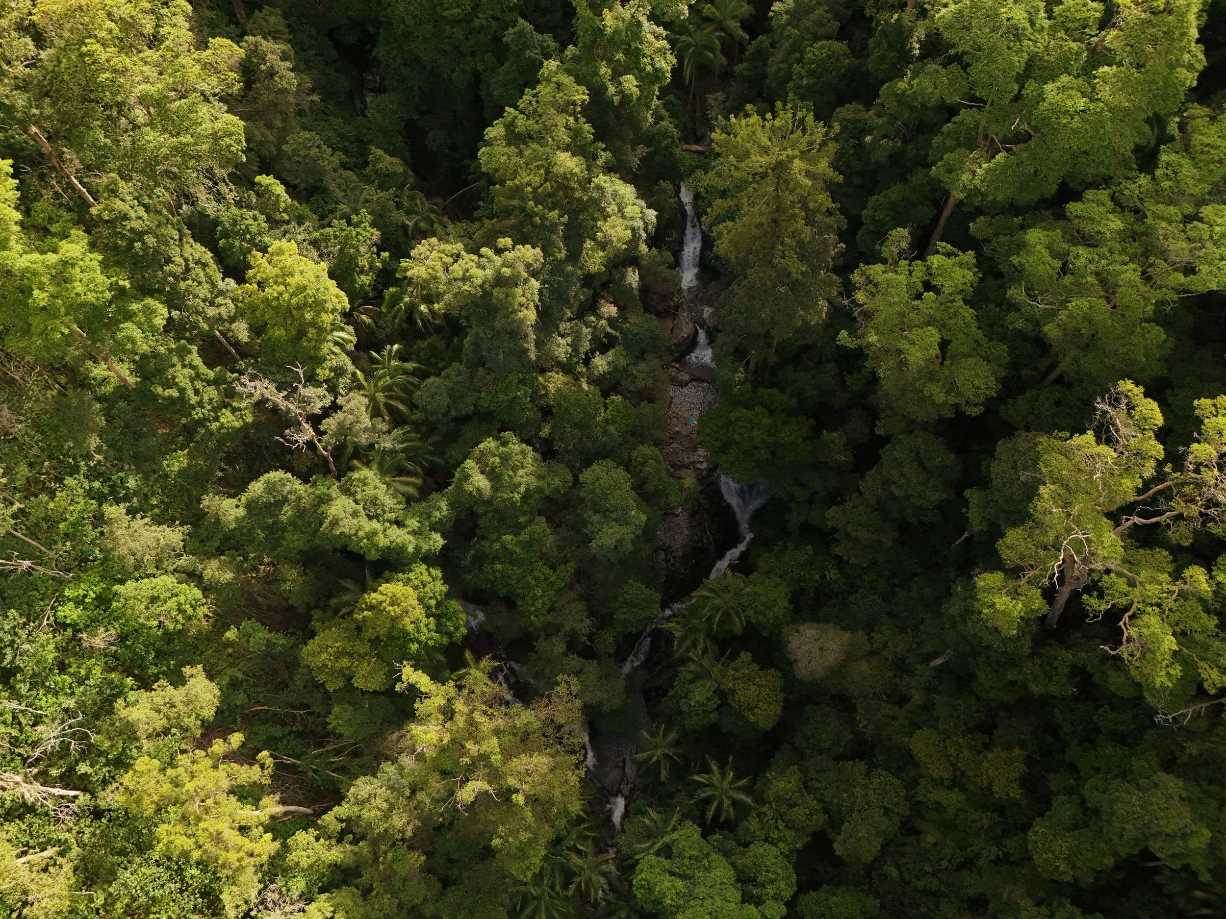 Aerial view of a waterfall flowing through dense green rainforest.
