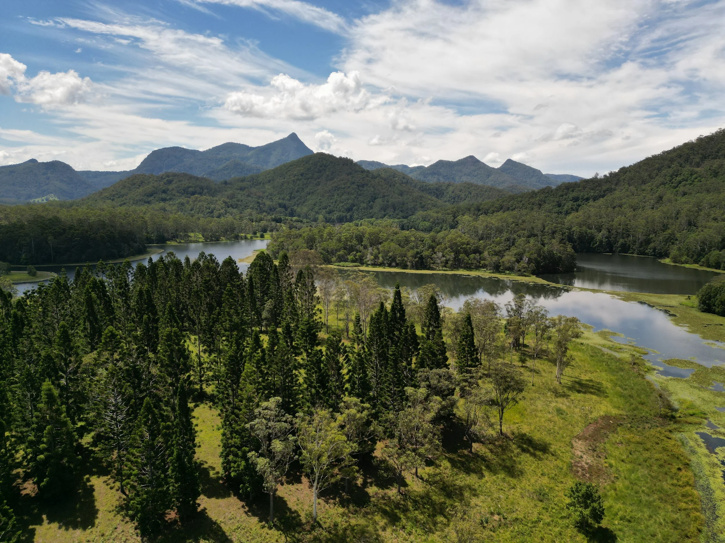 Aerial view of a lake surrounded by green forest with mountains in the distance.