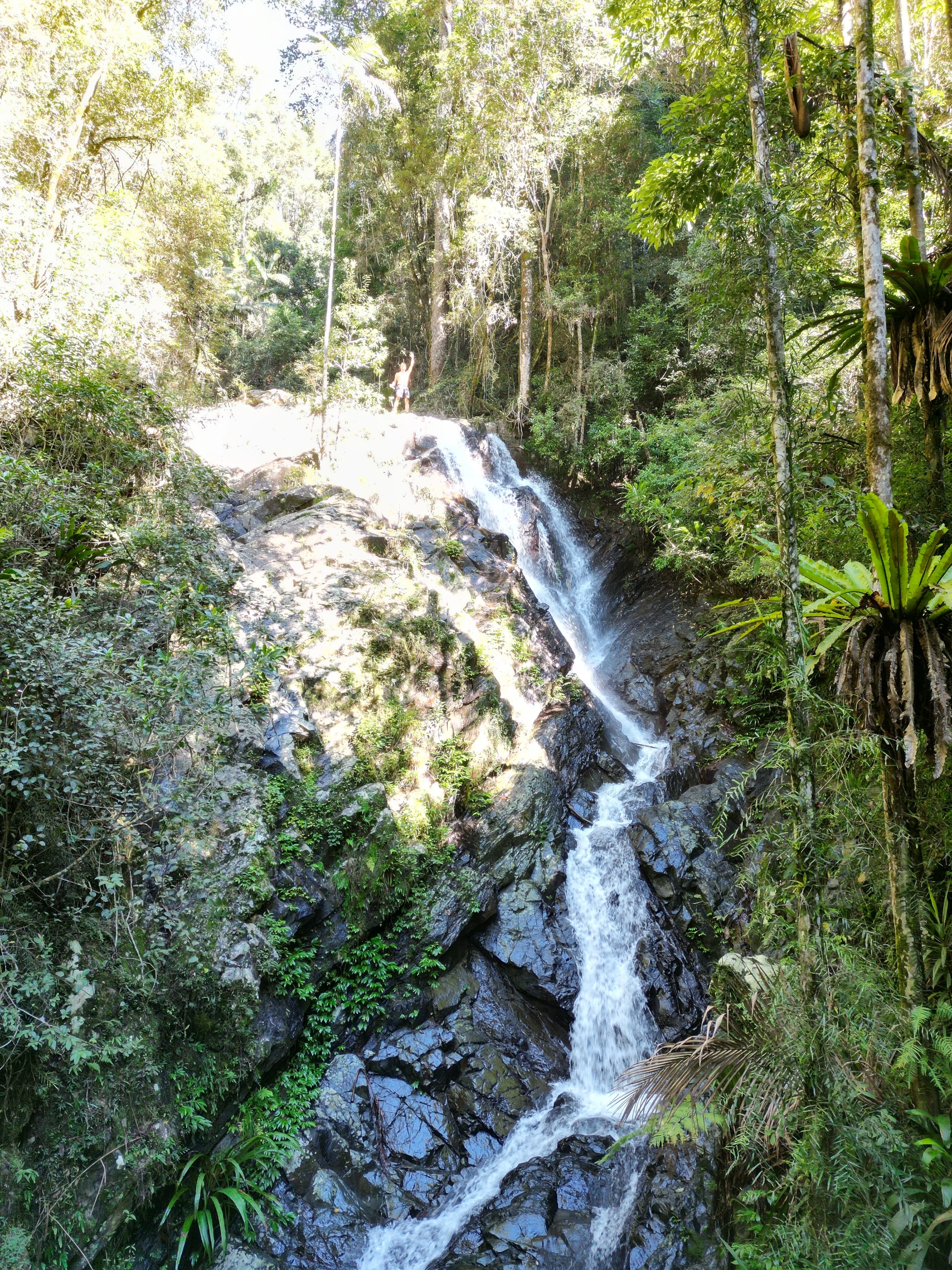 Thomas standing at the top of a waterfall surrounded by lush rainforest.