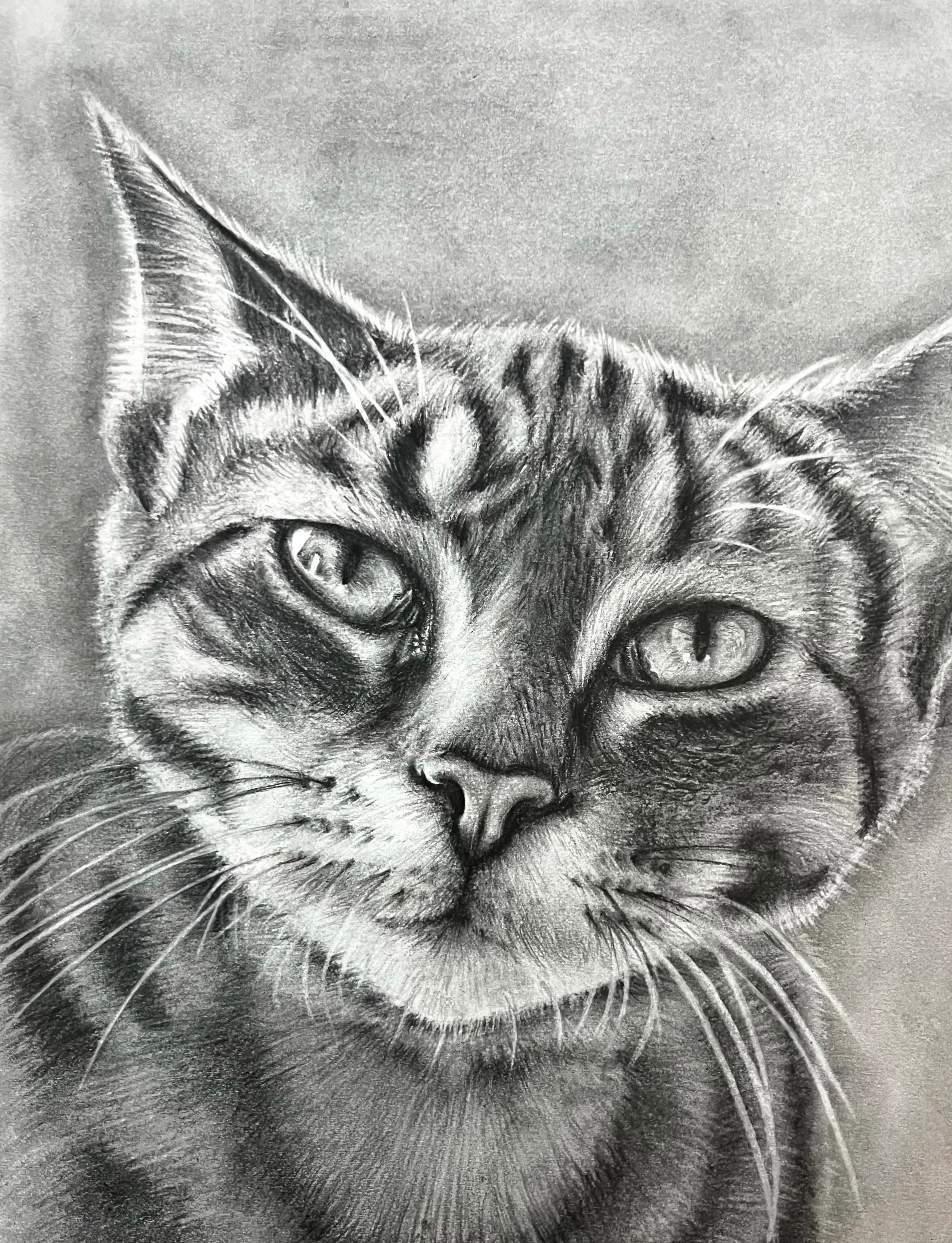 Zac | Graphite on Paper | 9 x 12 in | 2026