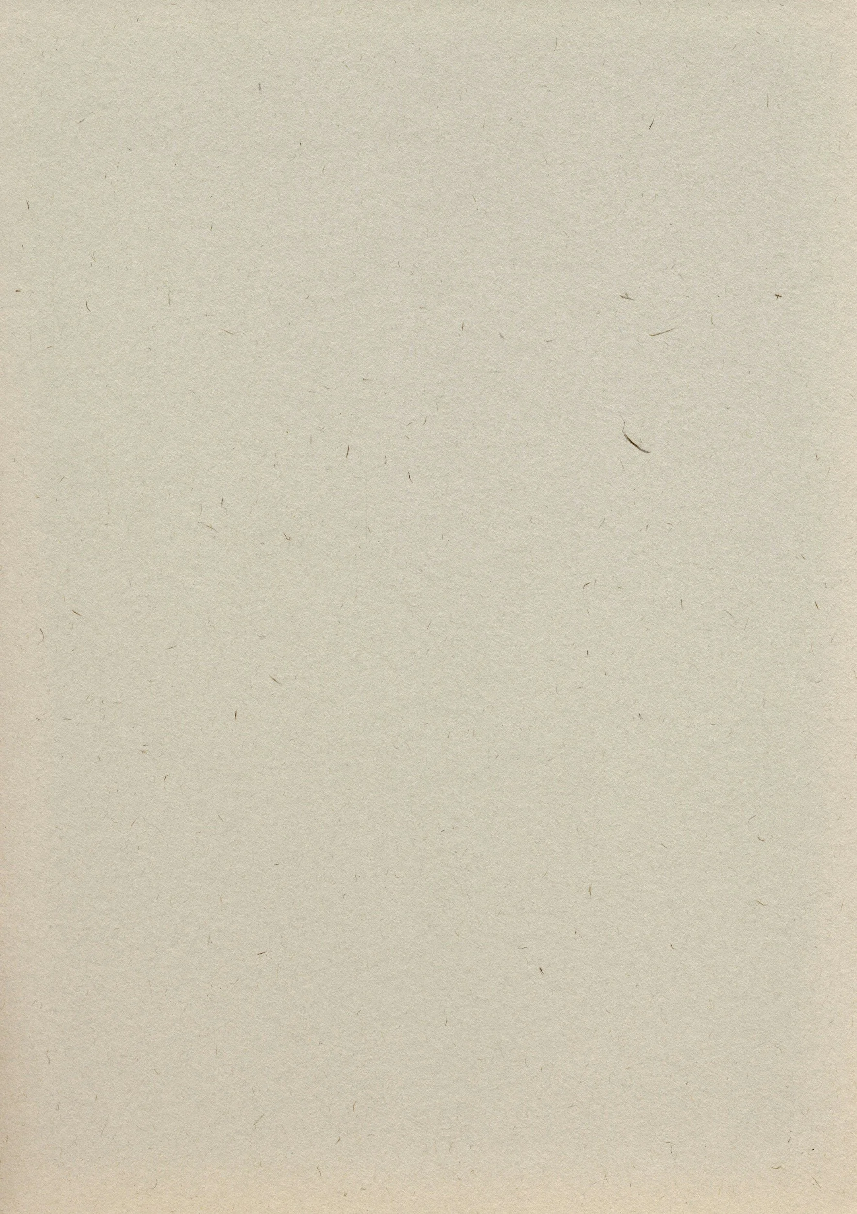 Blank beige textured paper or surface with small fibers and imperfections.