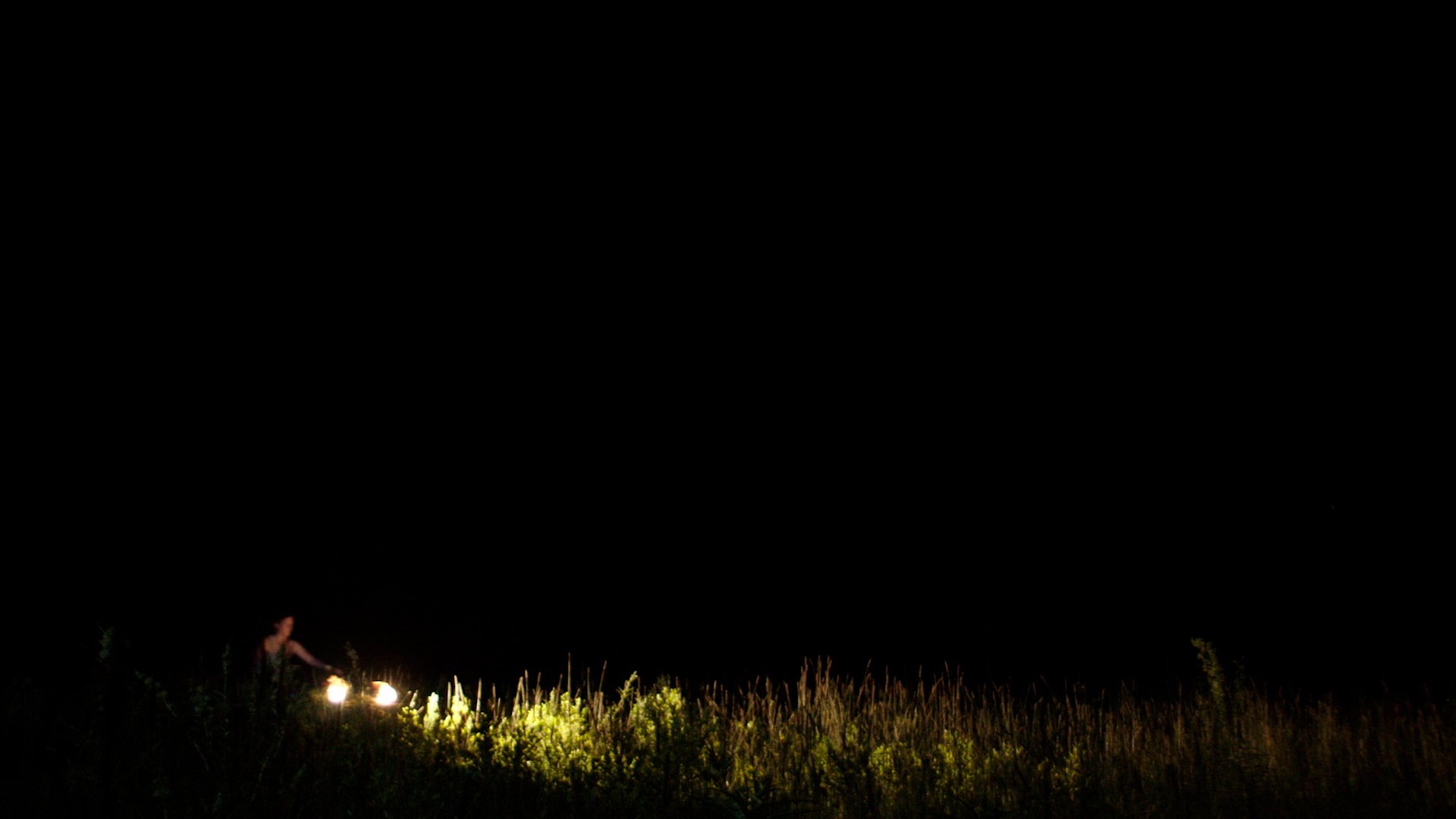 Person with a flashlight standing on tall grass at night, illuminating the surrounding area.