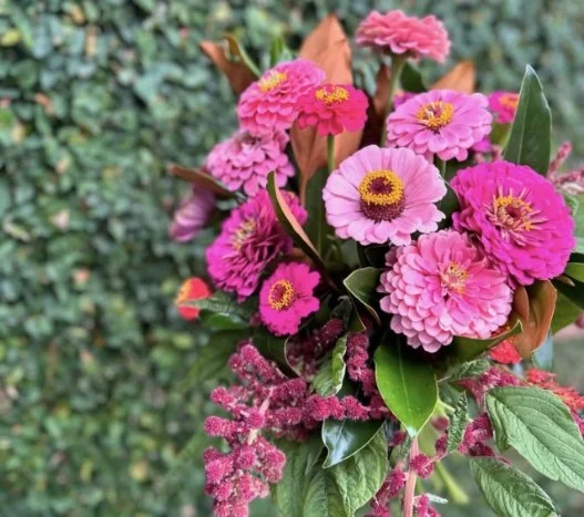 Medium / The Garden Bunch