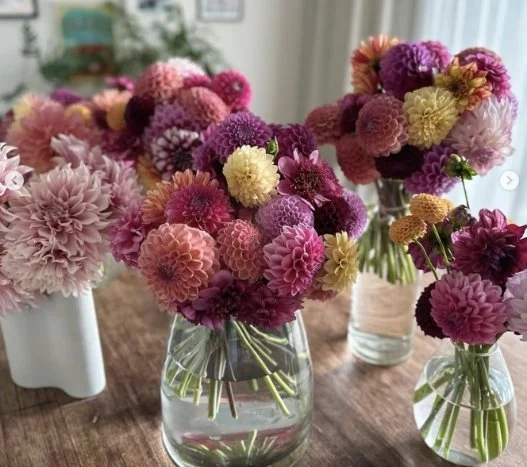 Small / The Posy