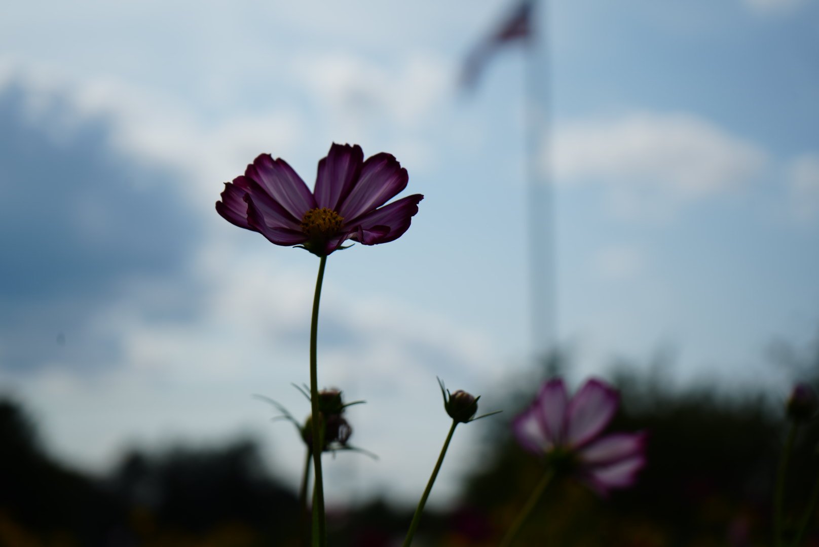 DSC03941.jpeg
