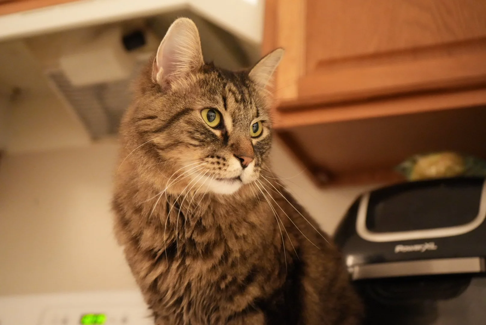 DSC00225.jpeg