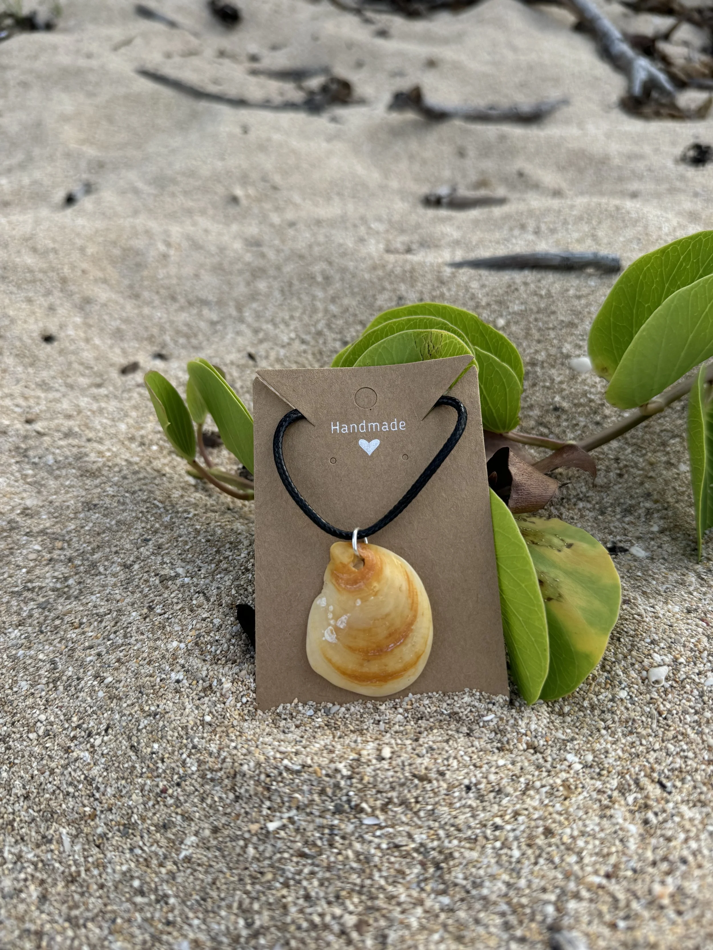 Amber Shell Pendant