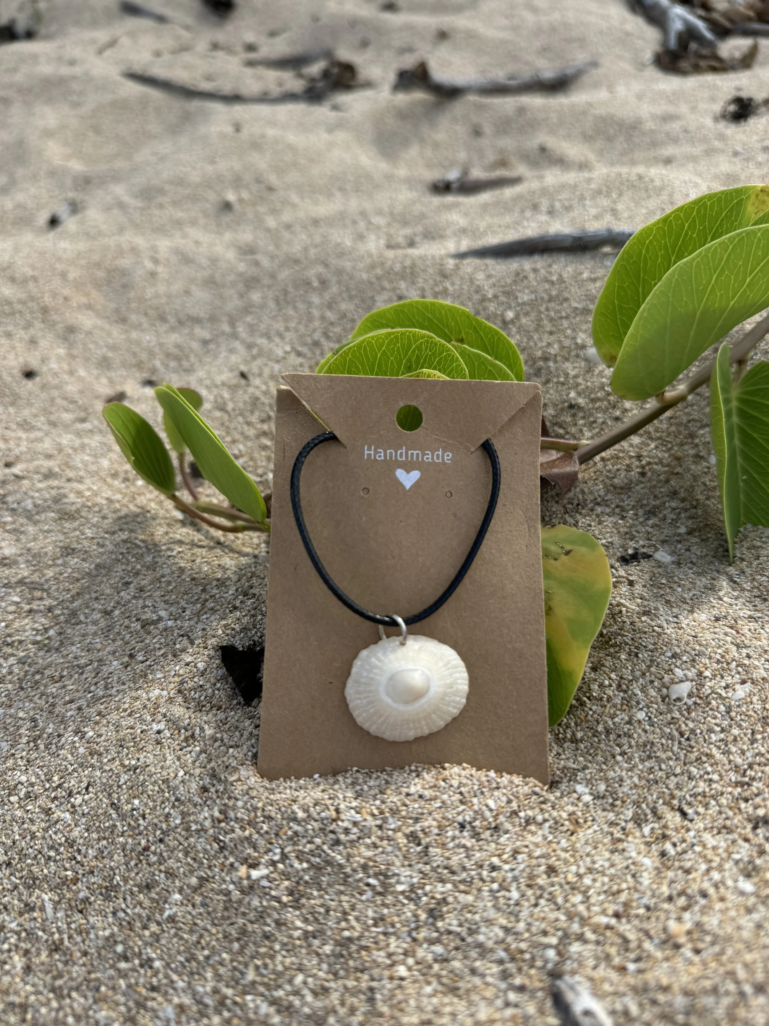 Oahu White Limpet Shell Pendant