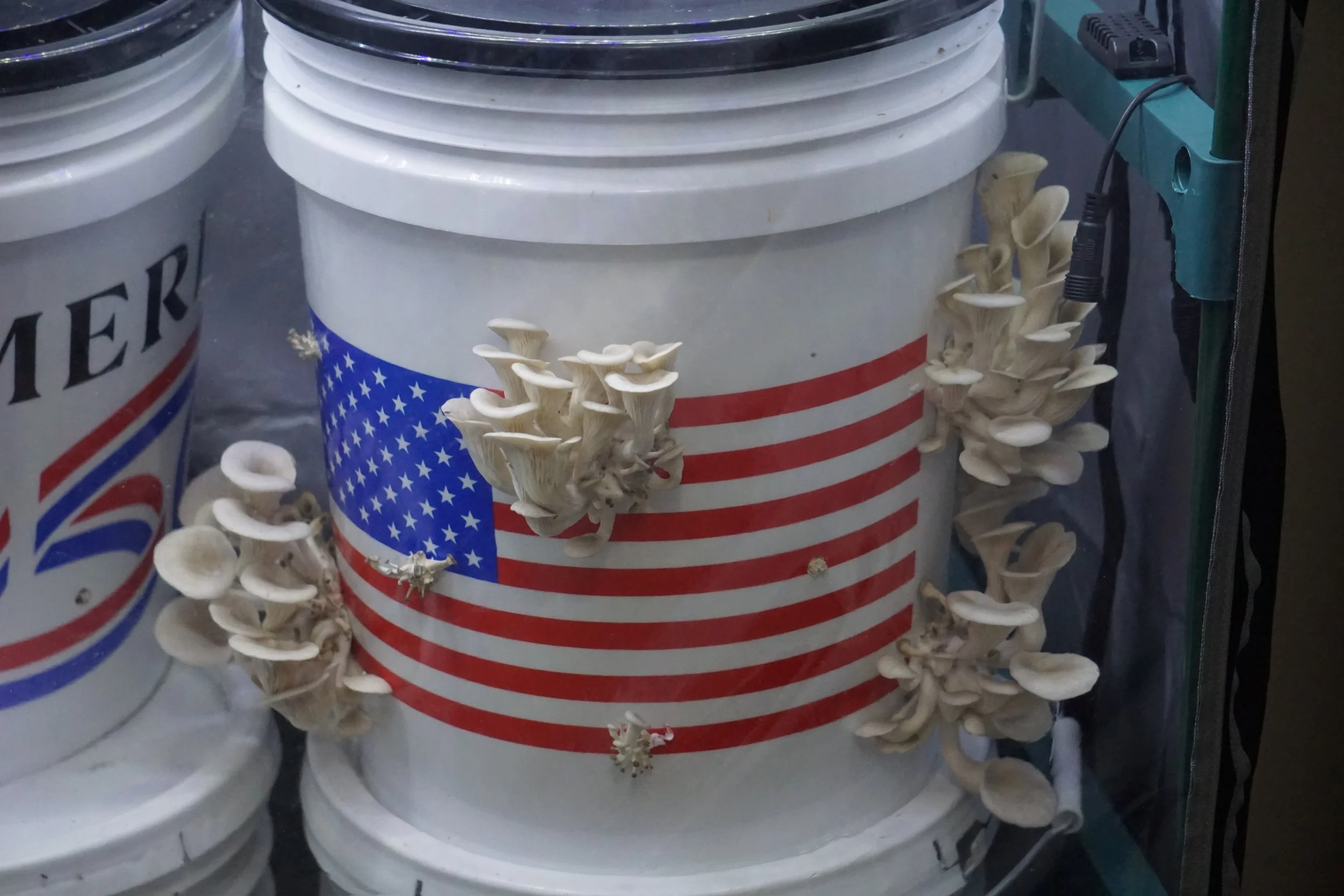 The Bucket Method