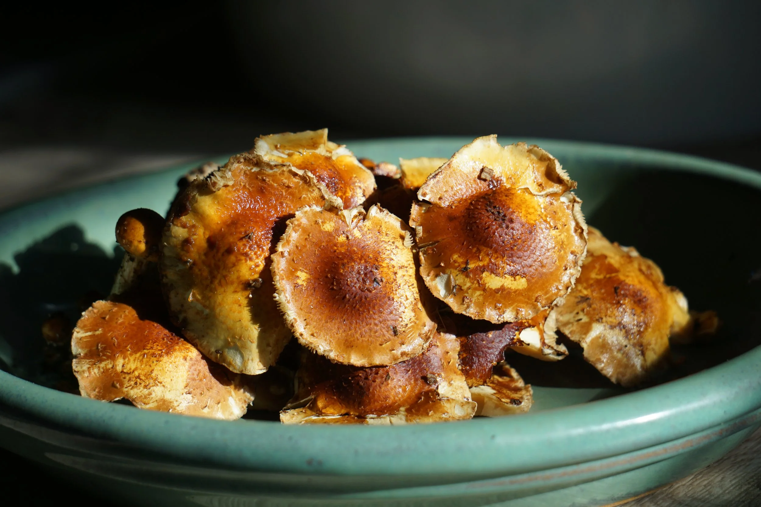 Chestnut Mushrooms