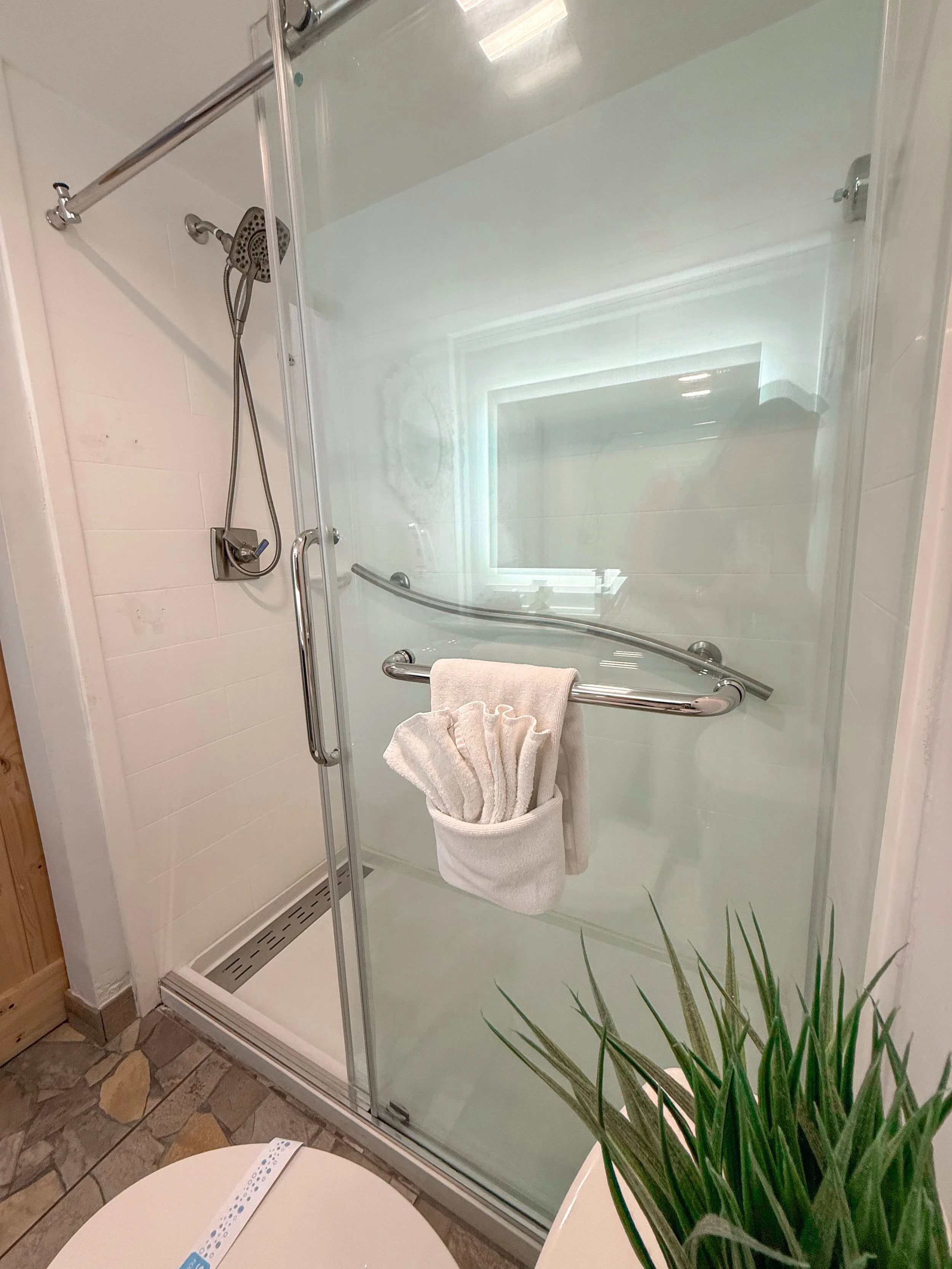 A bathroom shower with a glass door, a towel hanging inside the door, showerhead with hose, and a potted plant in the foreground.