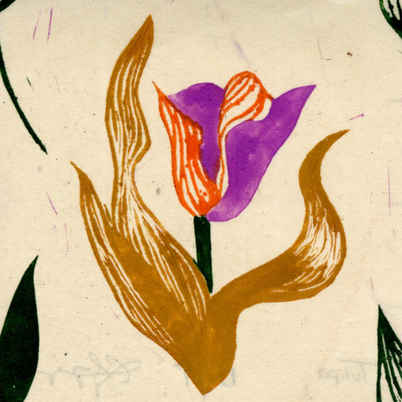 Tulips%2B1-40.png