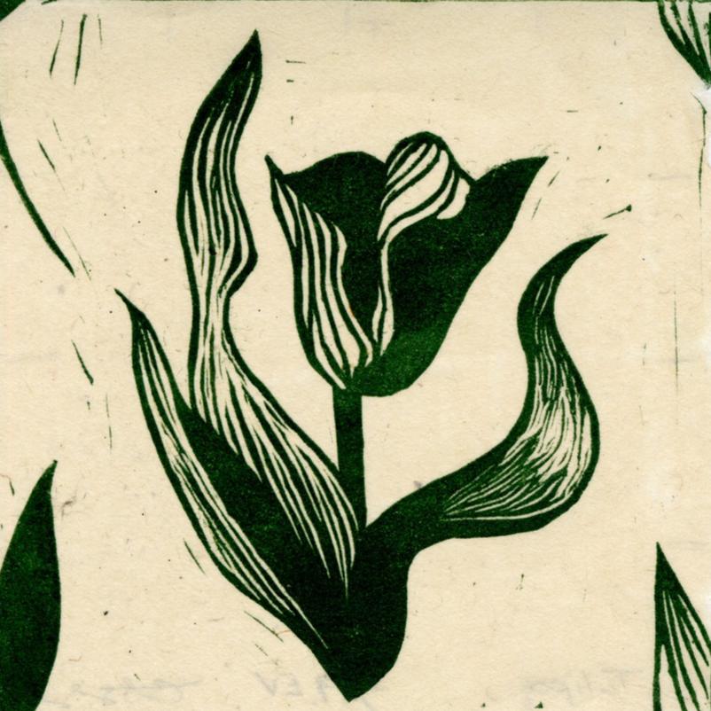 Tulips%2B4-40.png