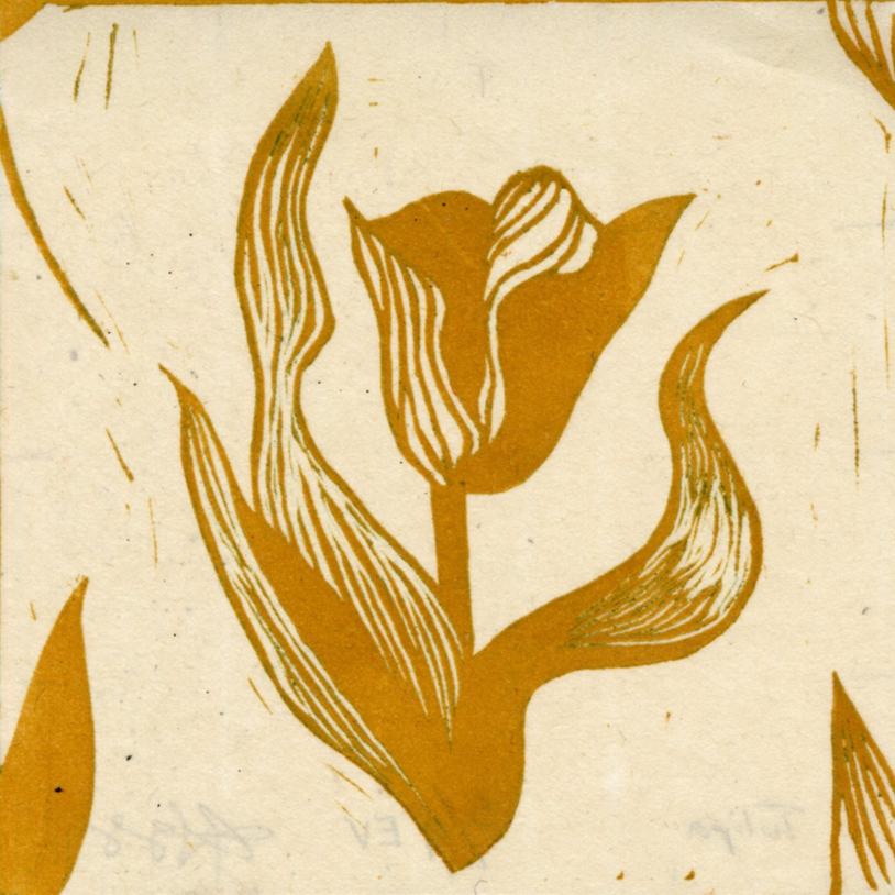 Tulips%2B6-40.png