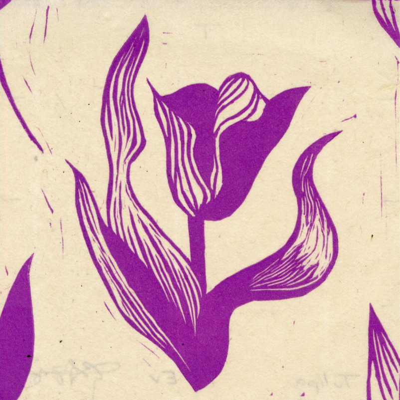 Tulips%2B9-40.png
