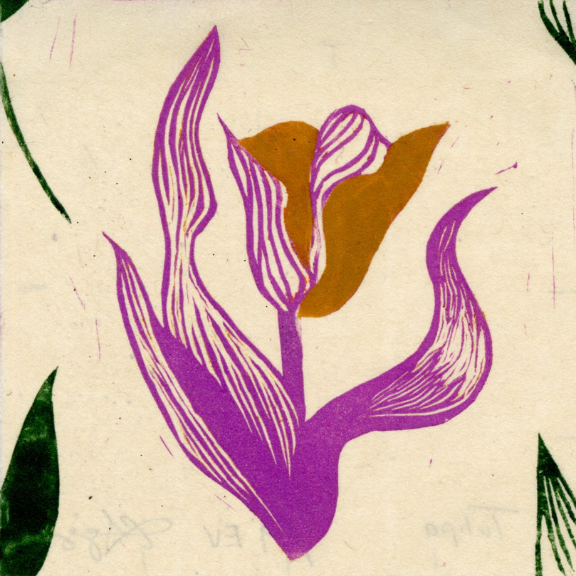 Tulips%2B10-40.png