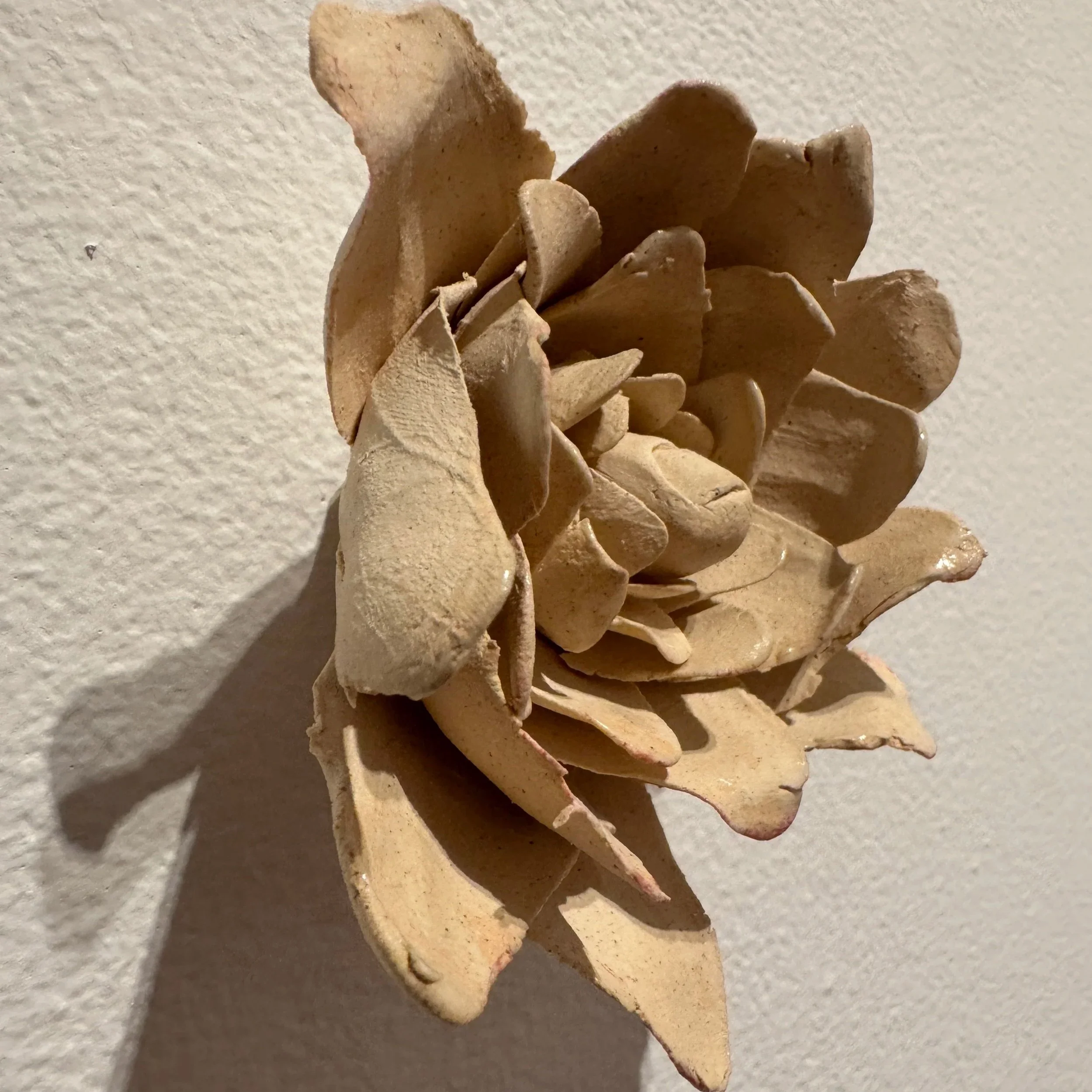 Ceramics