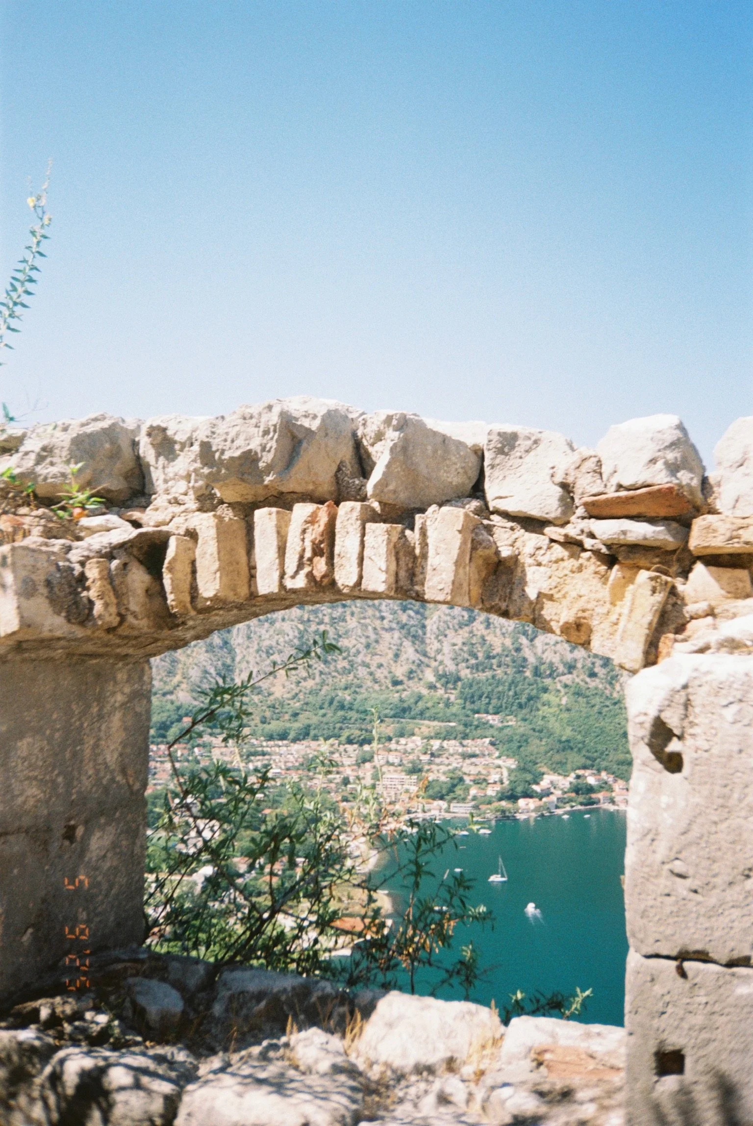 IMG_0024.jpeg
