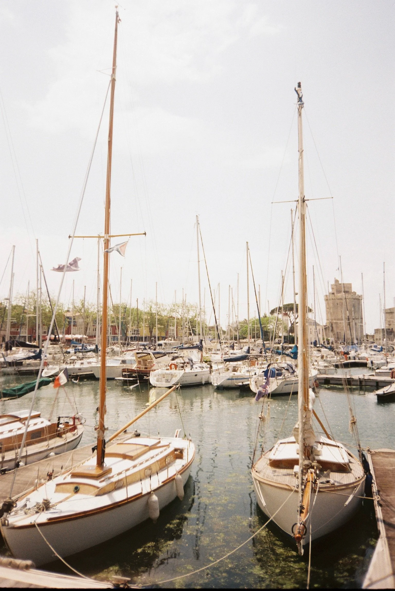 IMG_0106.jpeg