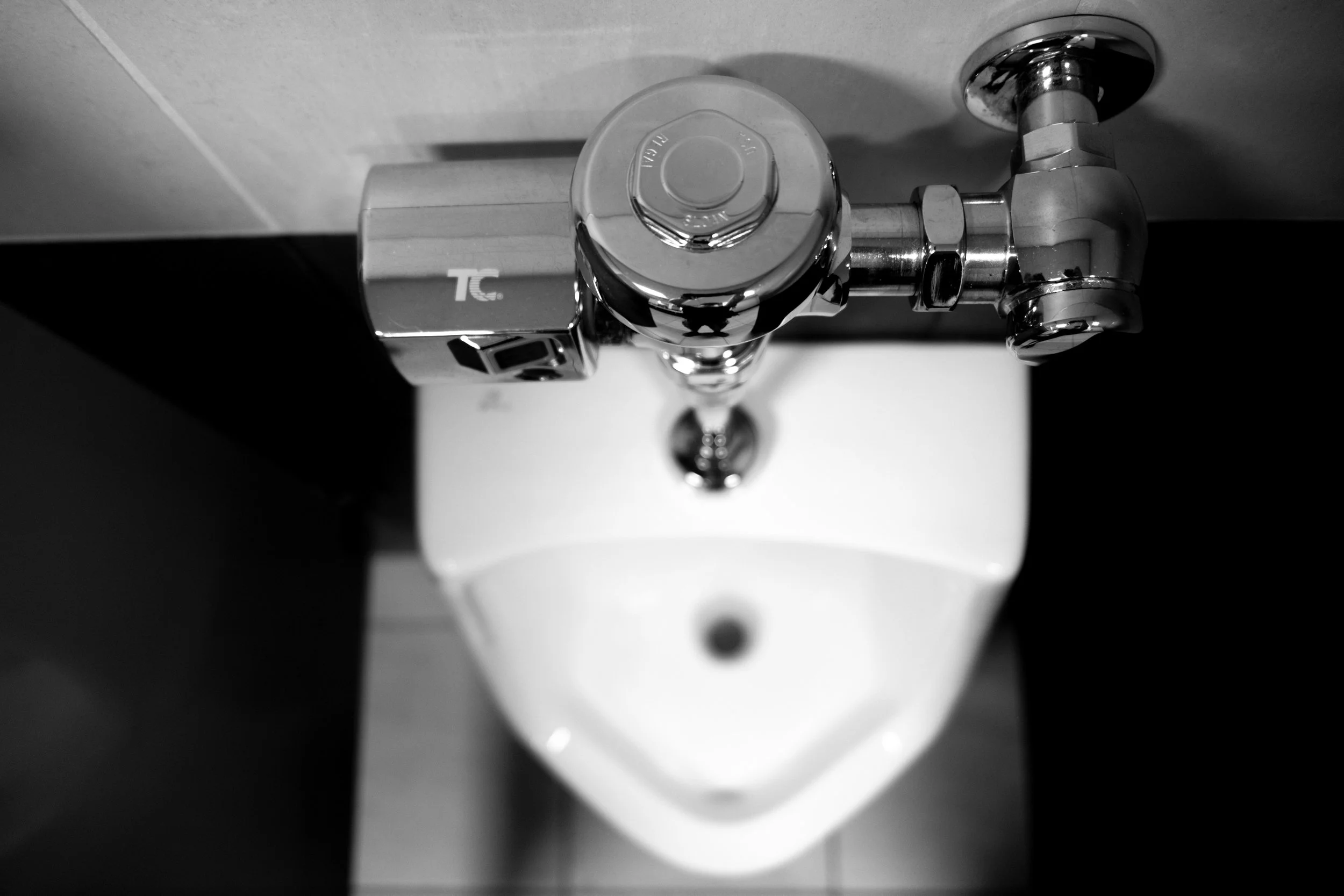 2025_Duchamp_R_Murphy-14.jpg