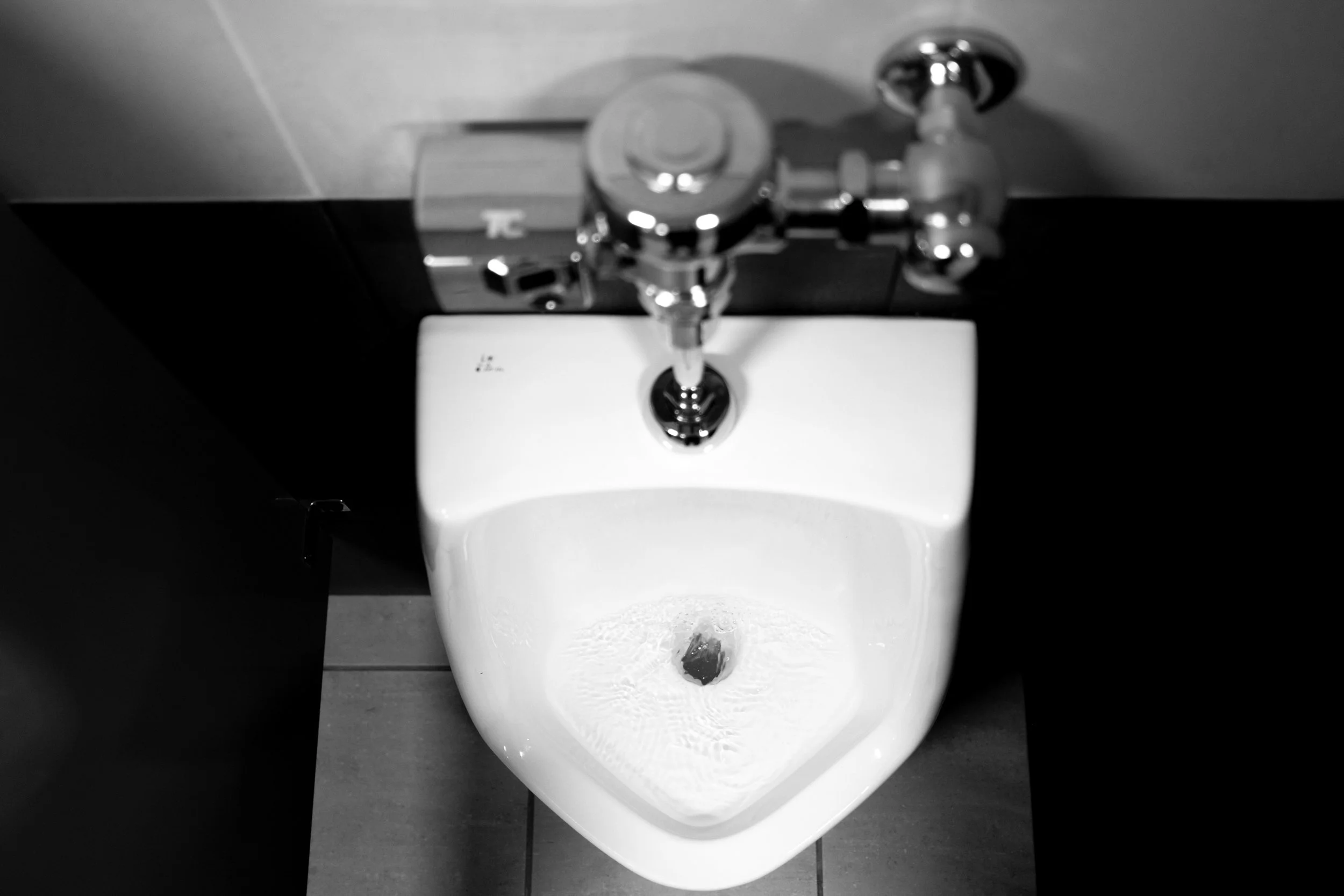2026_Duchamp_R_Murphy-63.jpg