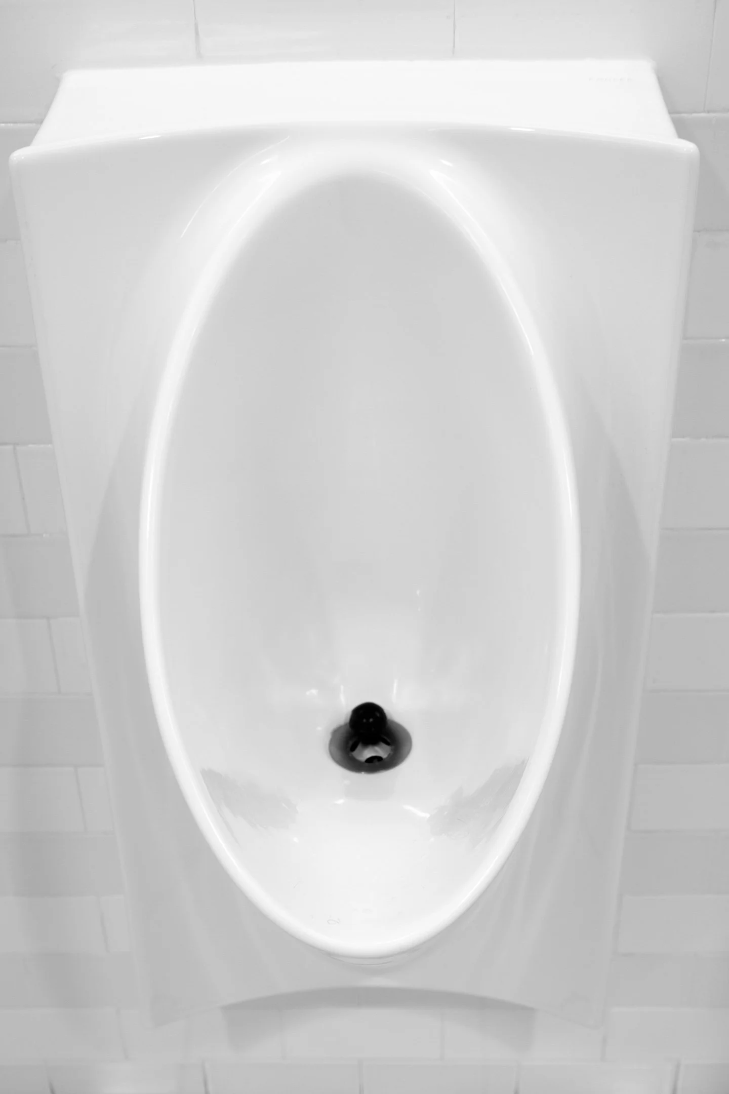 2026_Duchamp_R_Murphy-49.jpg