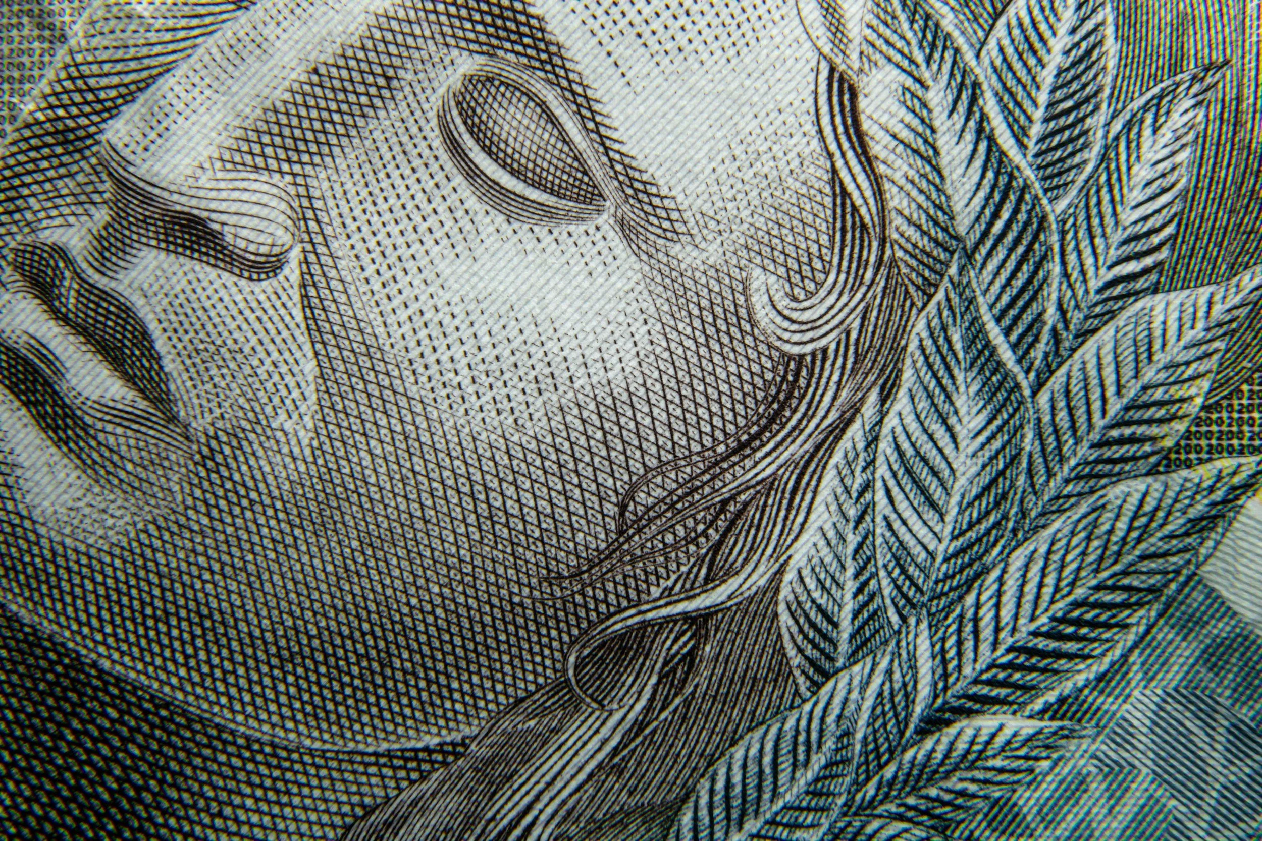 Close-up of a section of a U.S. hundred-dollar bill showing the detailed line work and engraving of Benjamin Franklin's portrait.