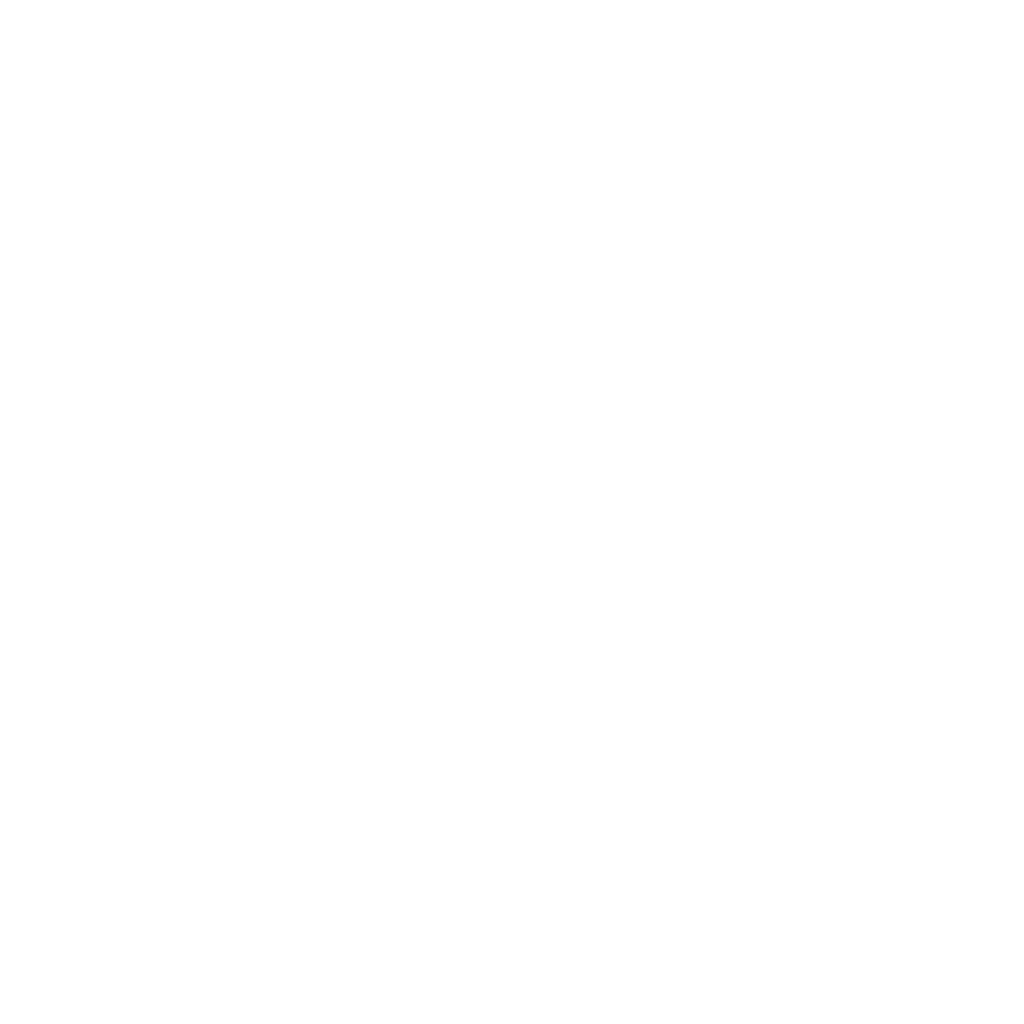 Black and white logo with a stylized shape on the left and the words 'Benjy America' on the right