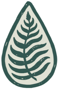 Stylized green fern leaf inside a teardrop-shaped outline.