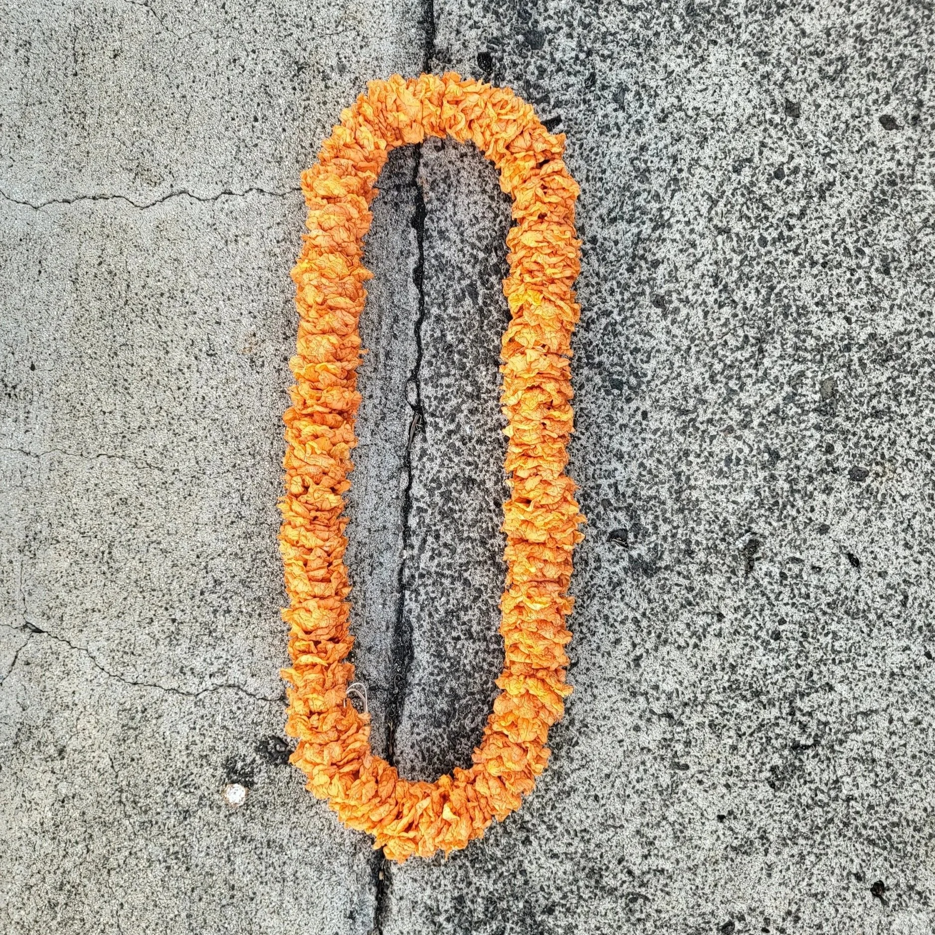 Seasonal lei: Wild foraged Kou