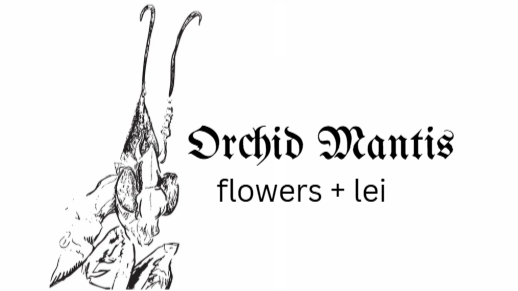 ORCHID MANTIS