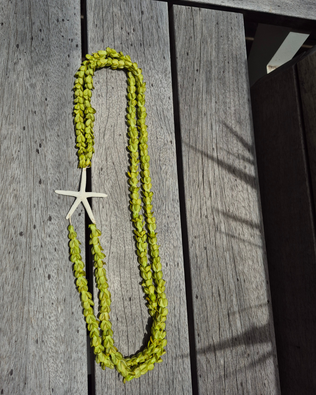 Starfish lei