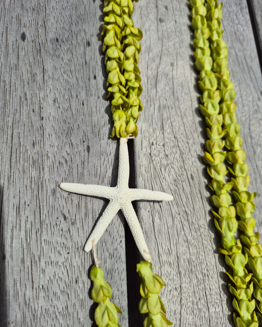 Starfish lei! (3).png