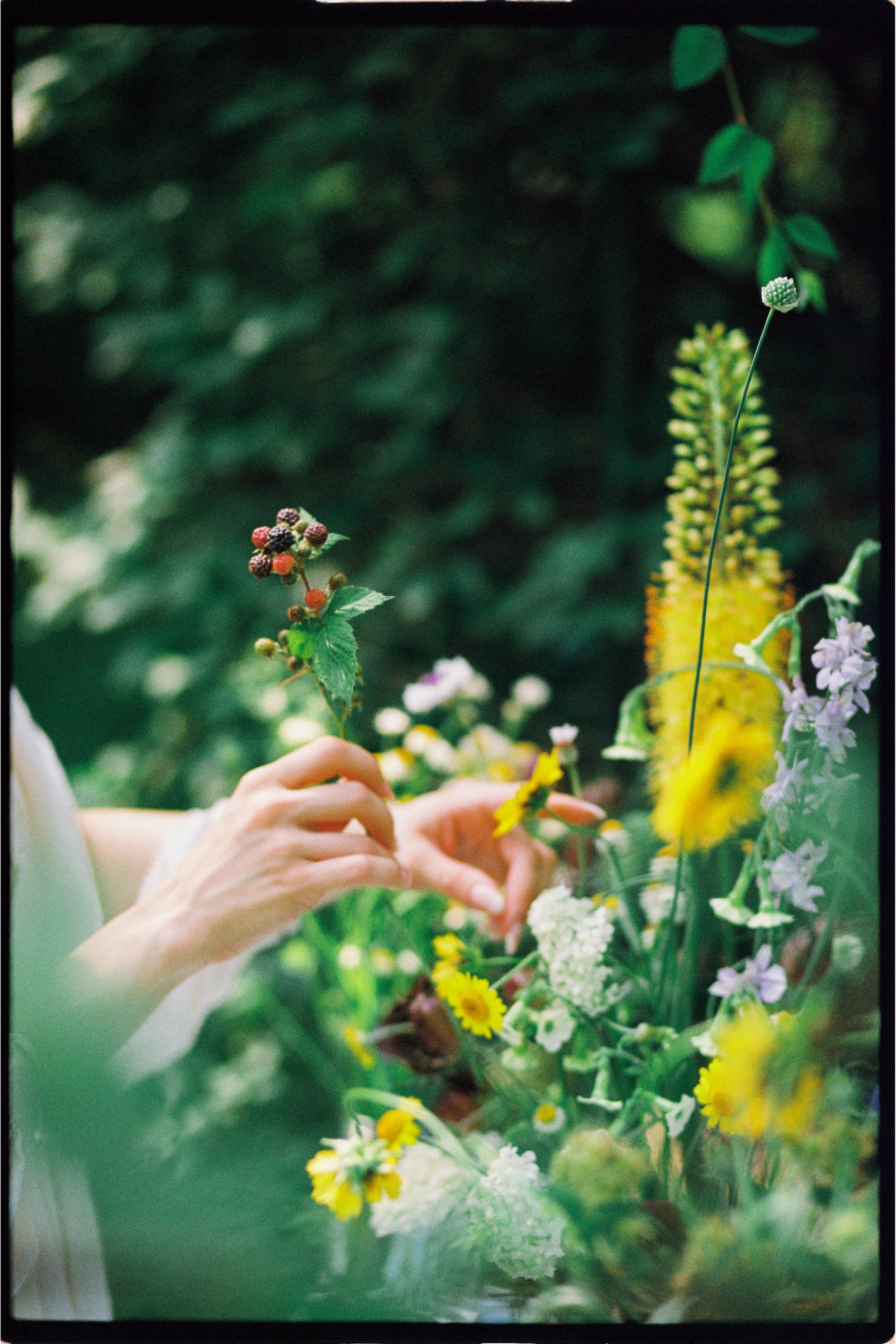 AnnaFlower-15.JPEG