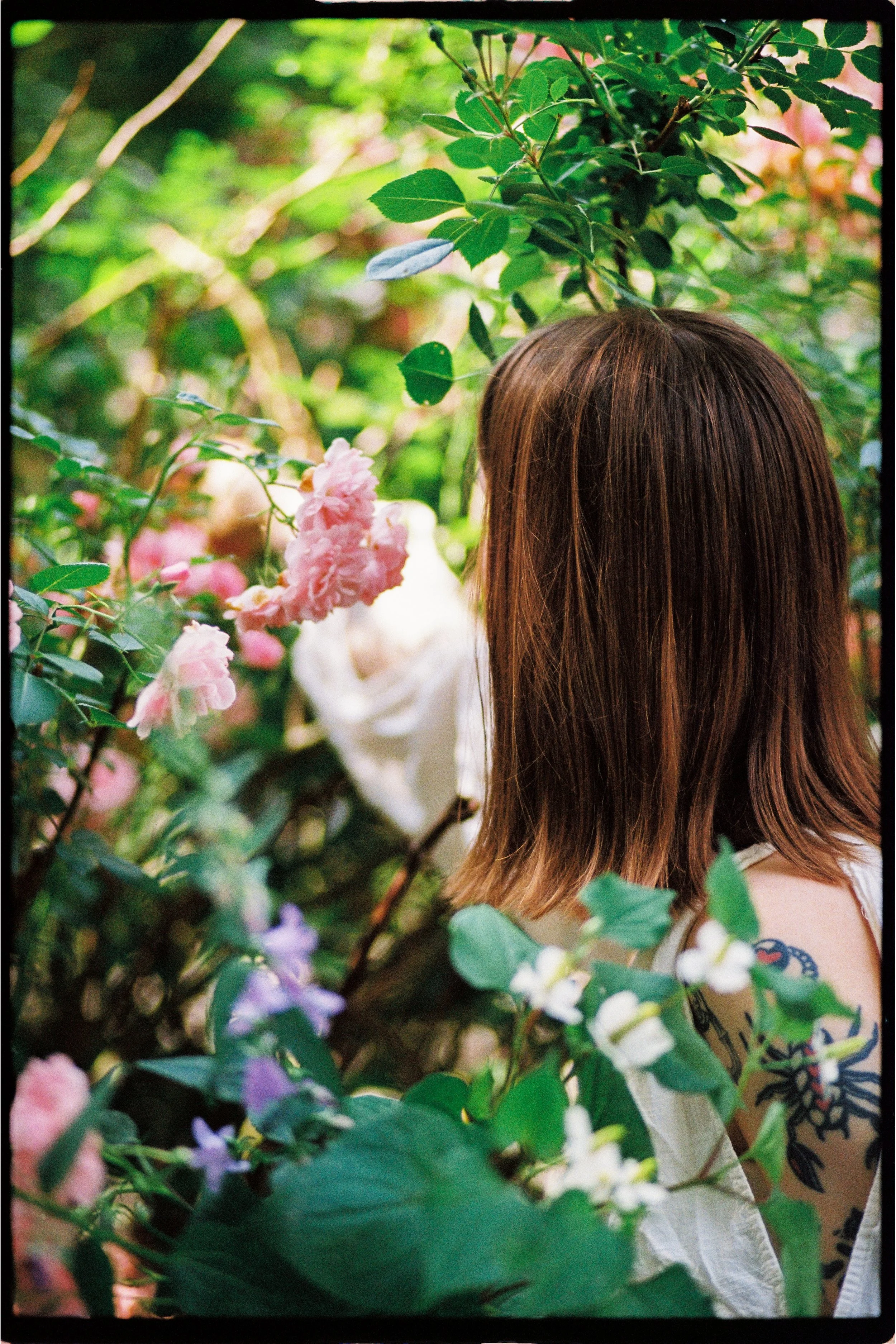 AnnaFlower-36.JPEG