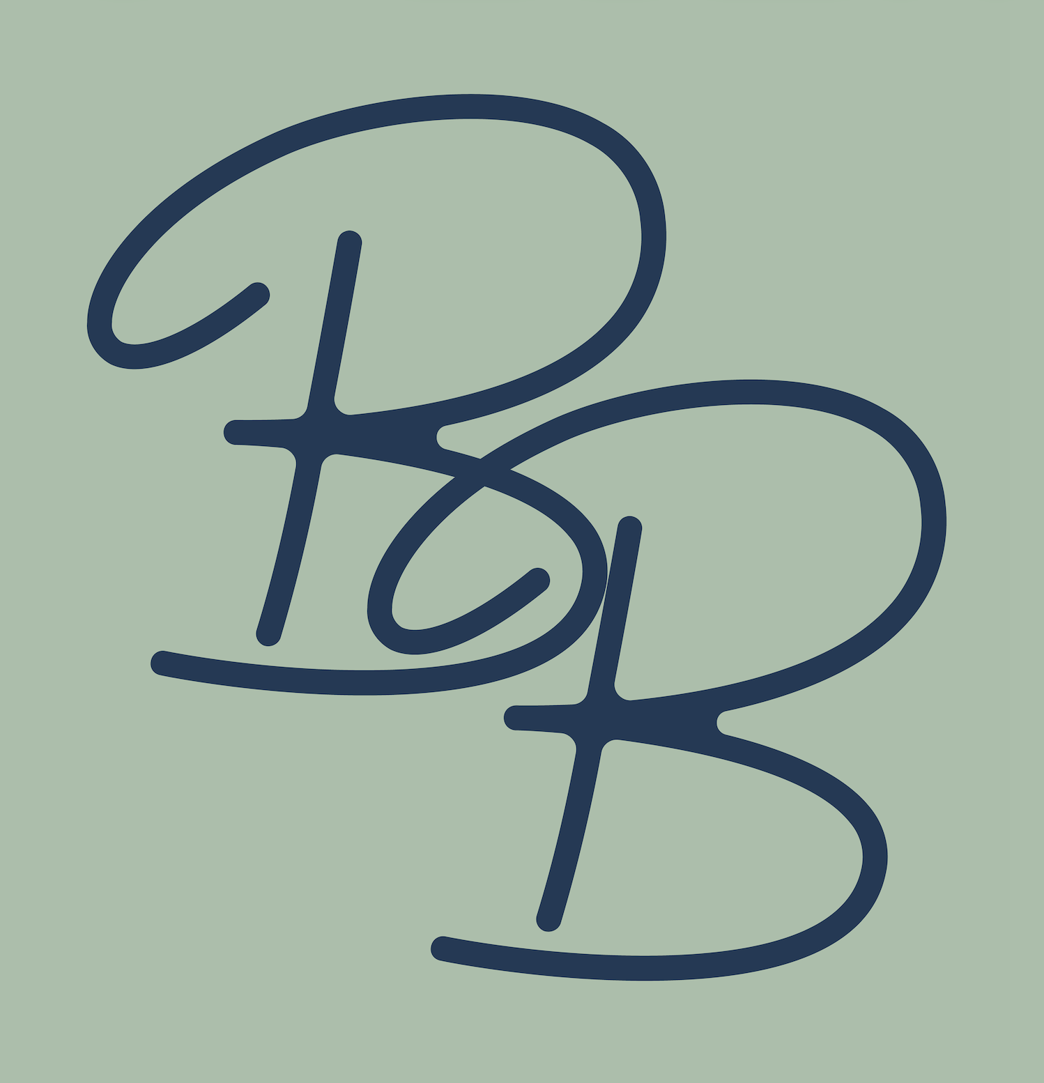 Line art drawing of two overlapping ballet slippers on a light green background.