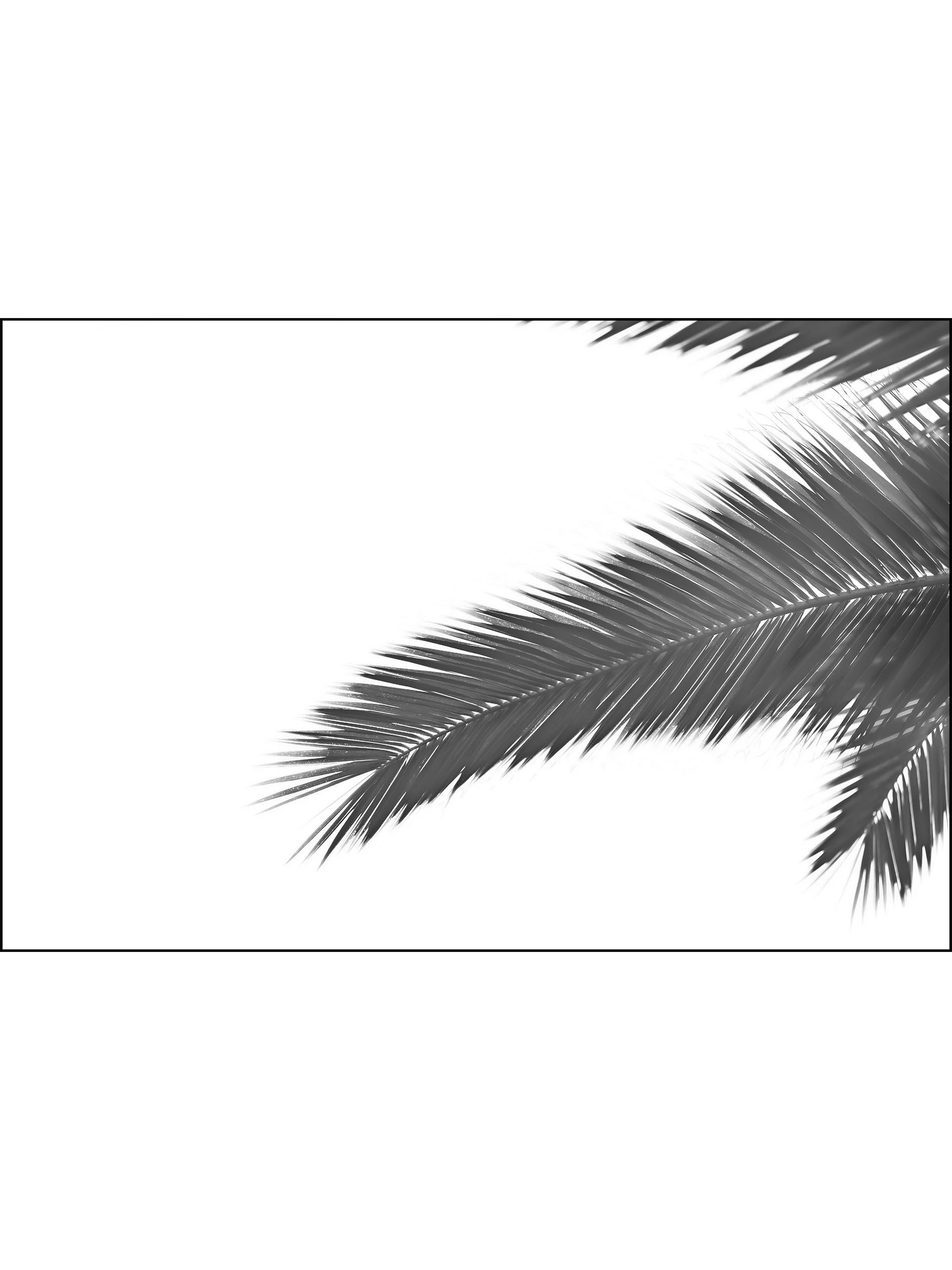 Floating Palm, 2026