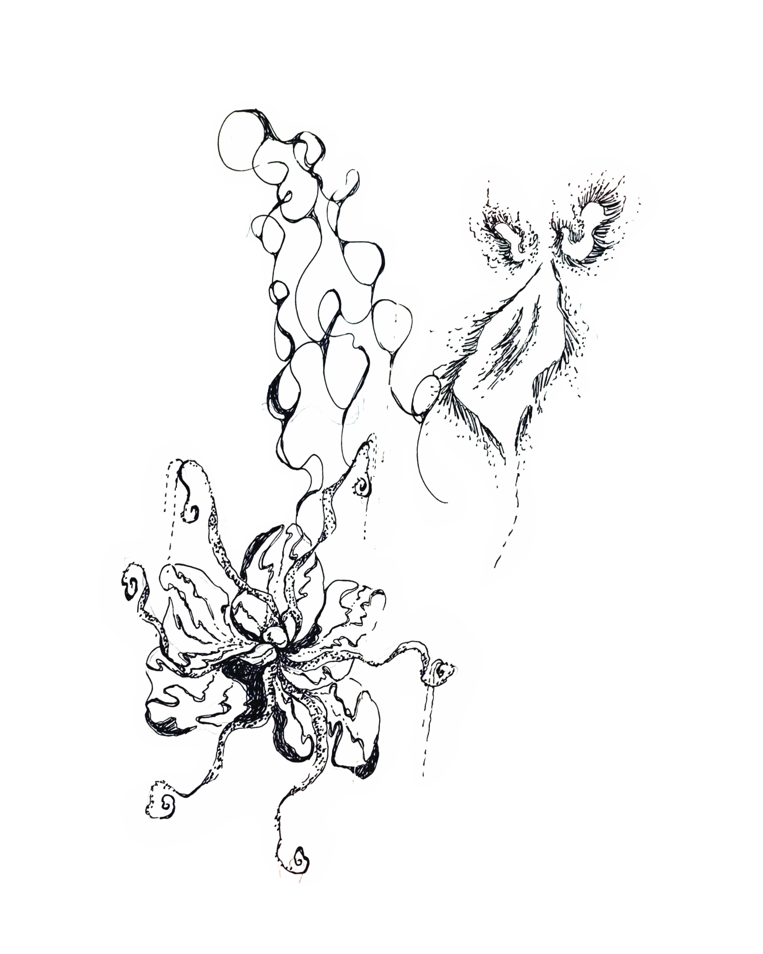 IMG_8264.PNG