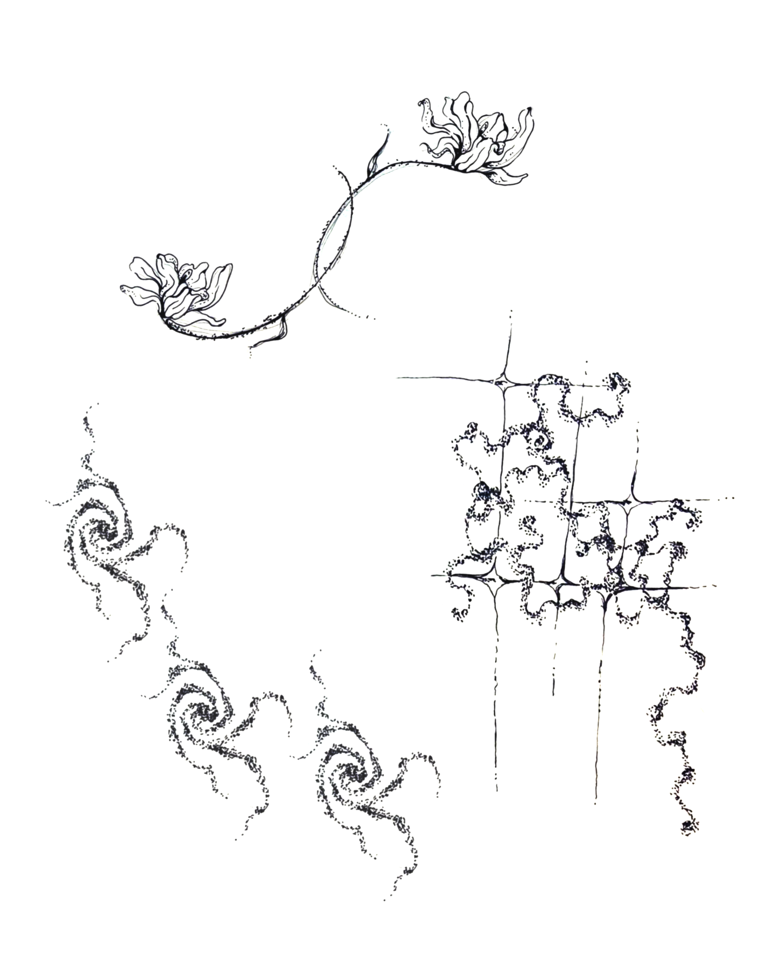 IMG_8267.PNG