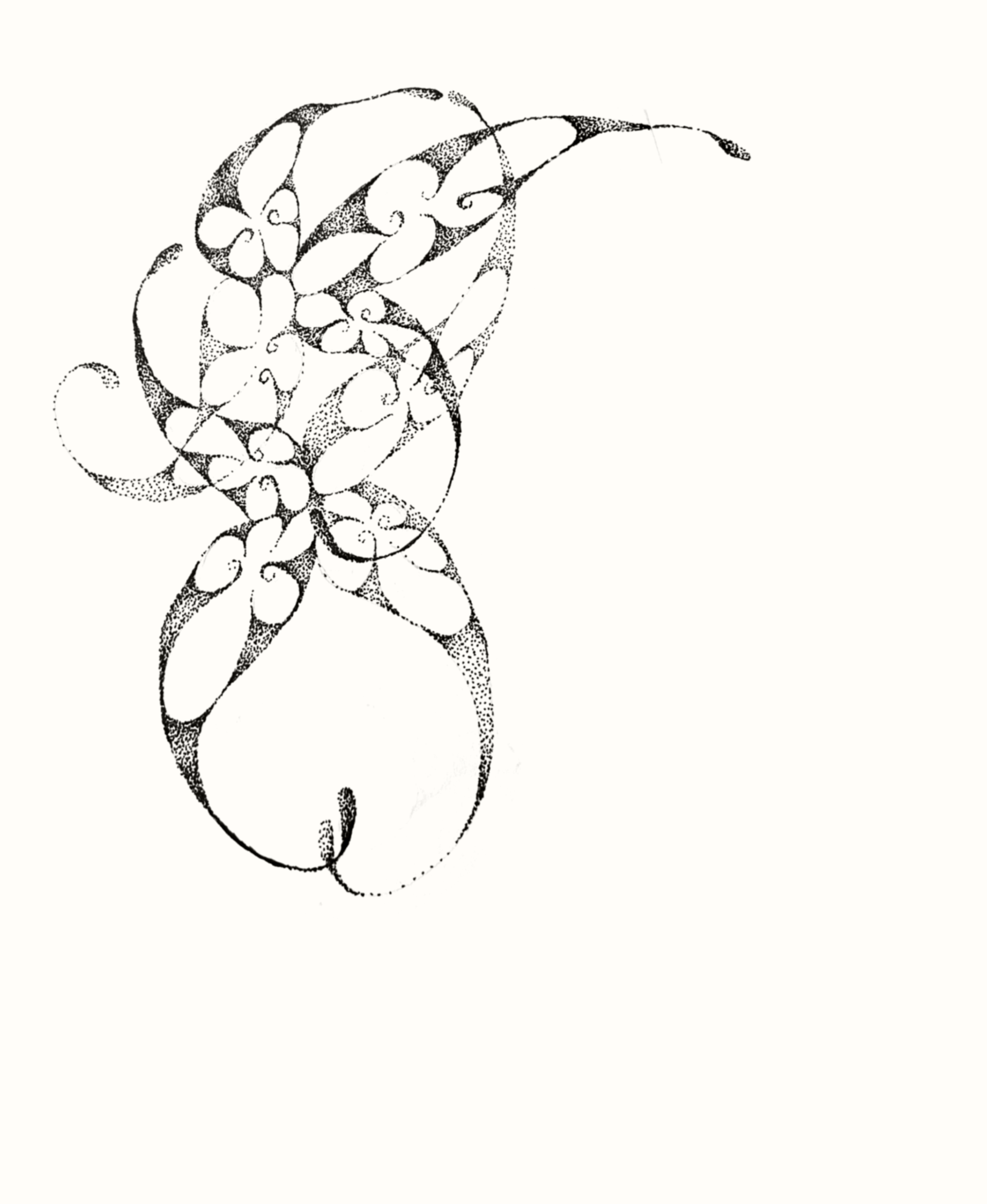 IMG_7909.PNG
