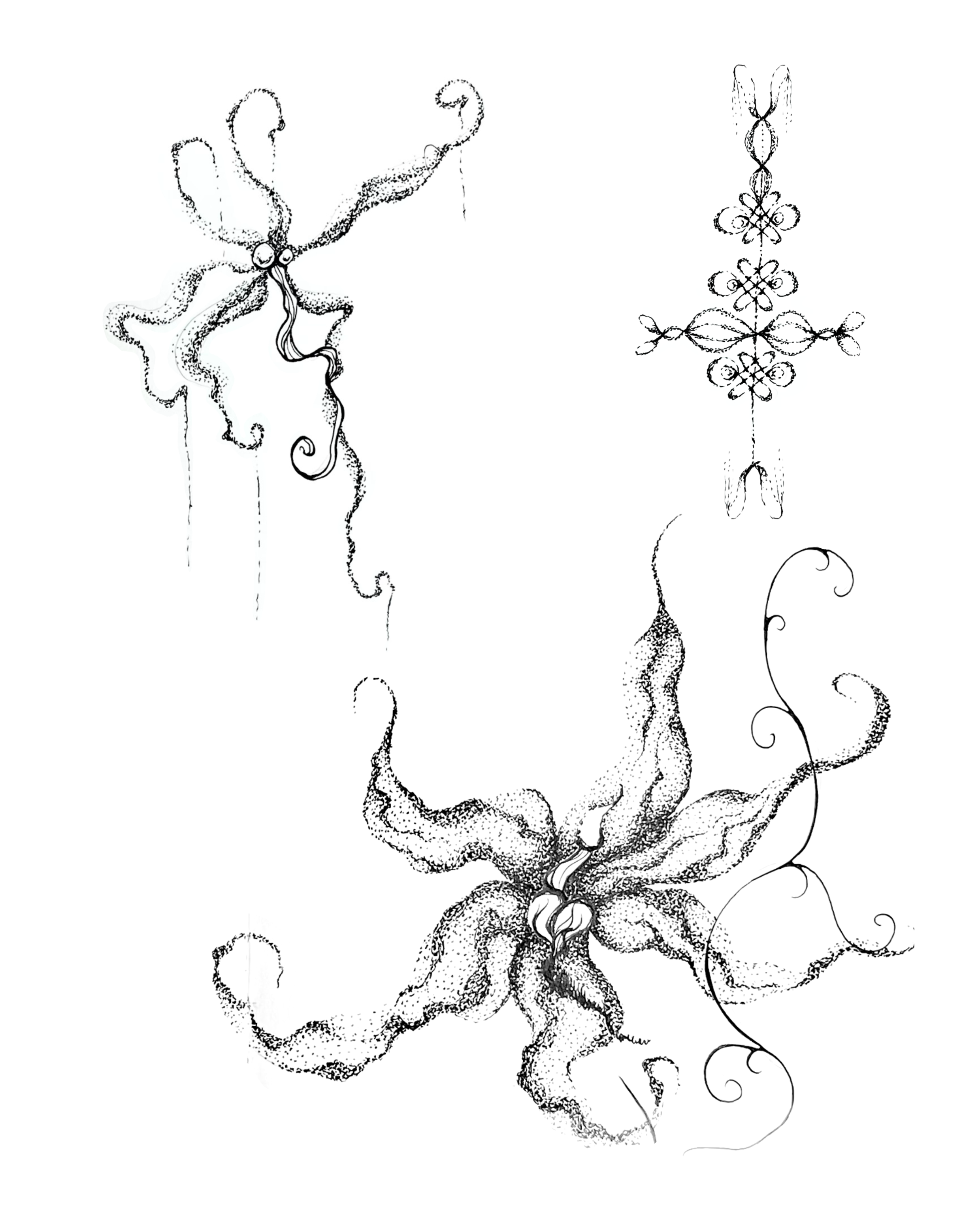 IMG_8262.PNG