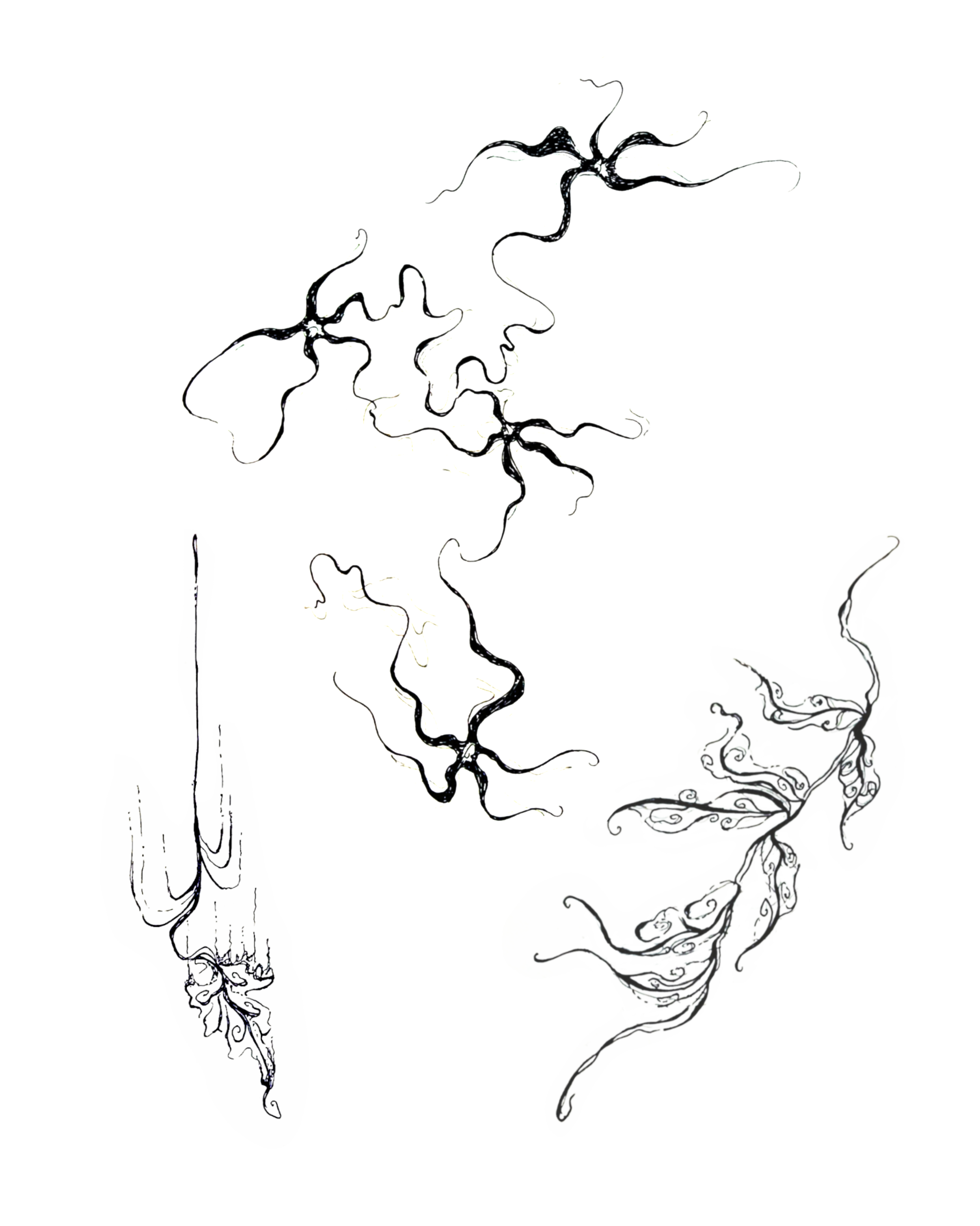 IMG_8263.PNG